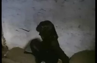 XXX बालों वाली क्लोज़ अप किटी सेक्सी फिल्म मूवी हिंदी बहुत अच्छा लग रहा है