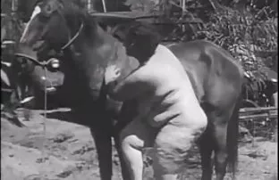XXX दो नग्न हिंदी सेक्सी वीडियो मूवी समुद्री मील की प्रकृति पर आराम