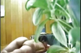 XXX चिढ़ा सेक्सी में हिंदी मूवी के साथ कामुक तस्वीरें
